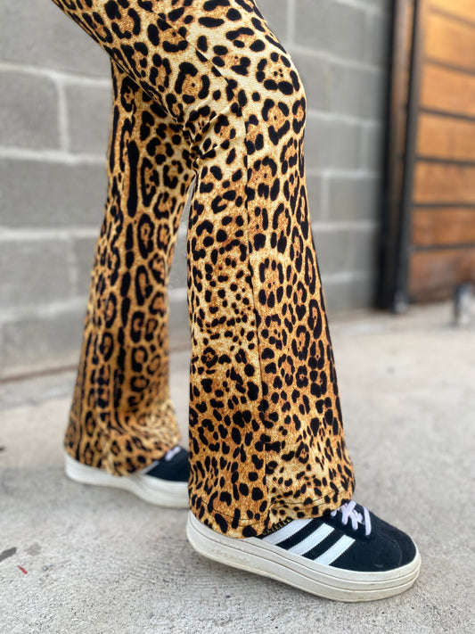 Pata de elefante LEOPARDO