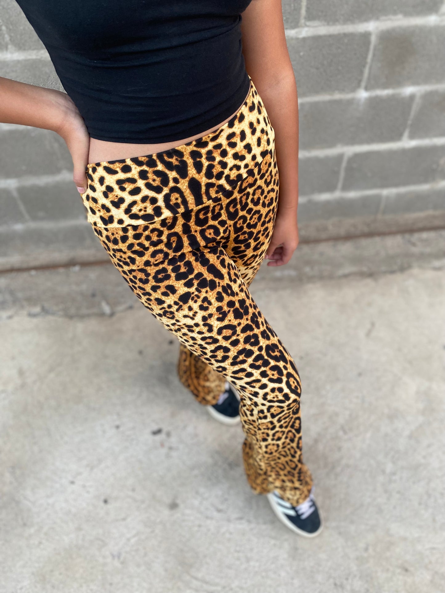 Pata de elefante LEOPARDO