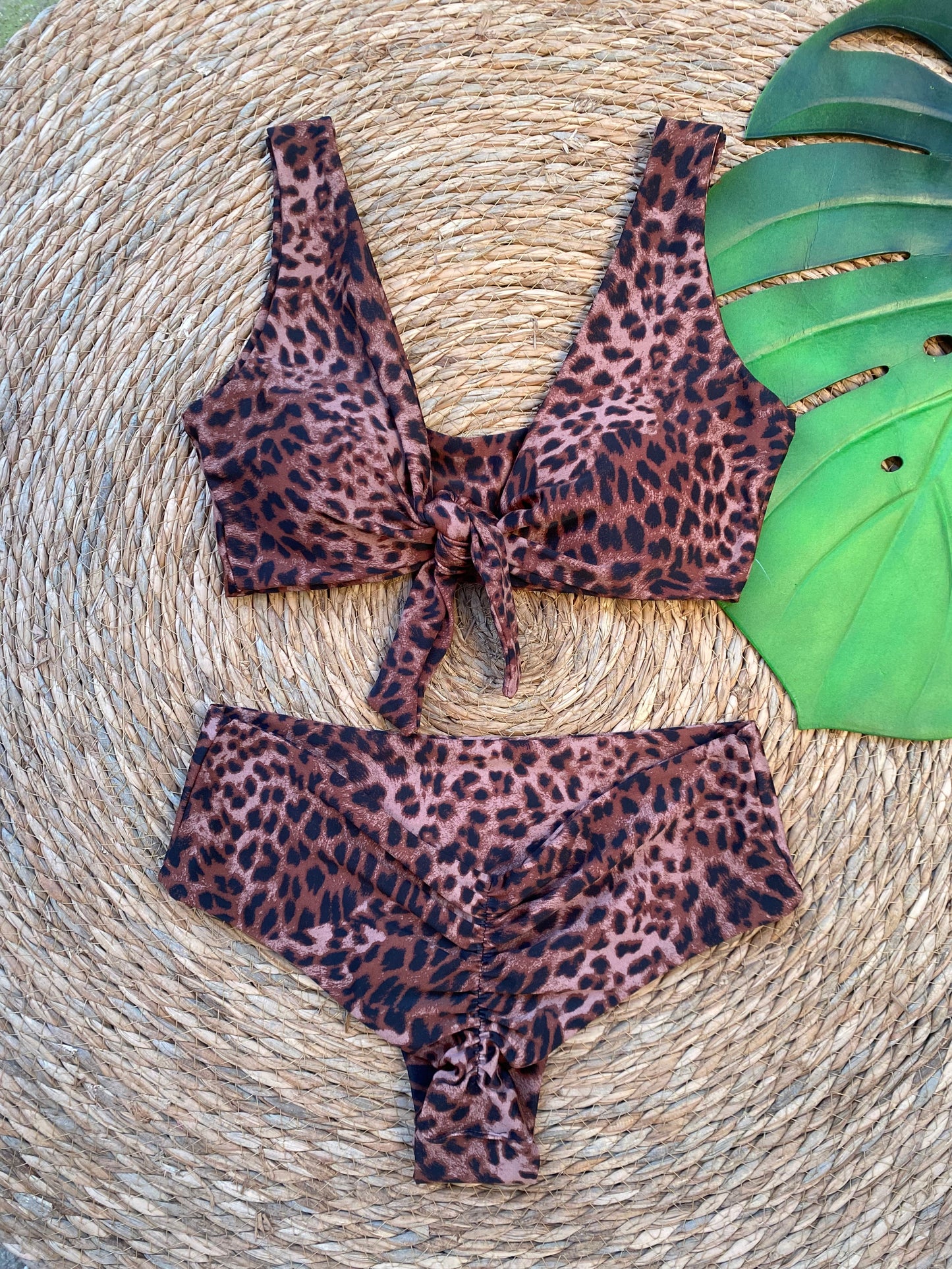 Bikini Alexa